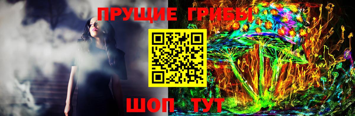 Галлюциногенные грибы Psilocybe Кимры
