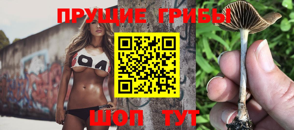 Кимры  Галлюциногенные грибы мухоморы  Вход с VPN  закладки  Галлюциногенные грибы мицелий 